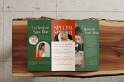 Bakery Megals Elegant Luxury Serif, a Serif Font by timelesstype.co (Thumbnail 2 of 15)