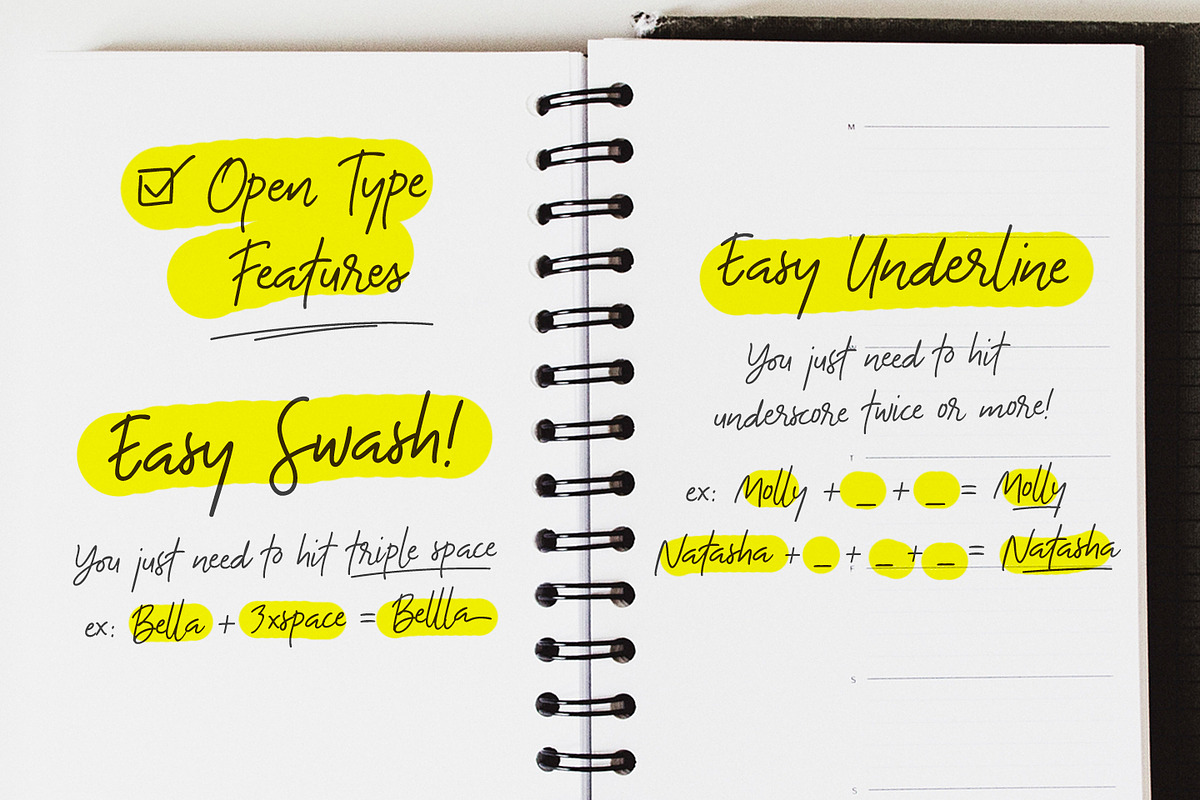 The Bouquet List ~ Font +Extras, a Script Font by Nasir Udin (Photo 12 of 13)
