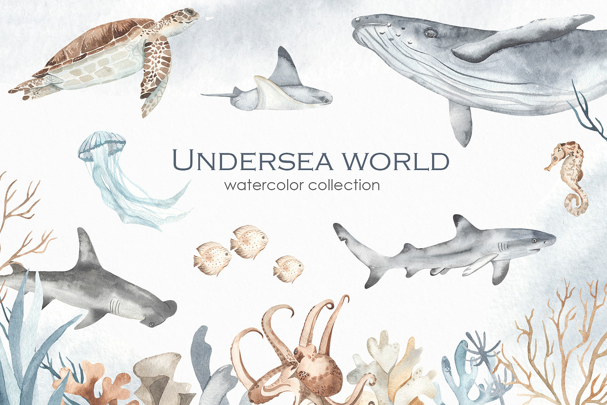Undersea world Watercolor, an Animal Illustration by Marina Ermakova (Photo 1 of 12)