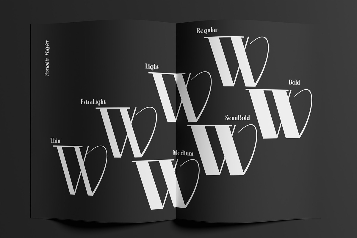 Aleesya Serif Font Family, a Serif Font by Ryul Davidson (Photo 3 of 15)