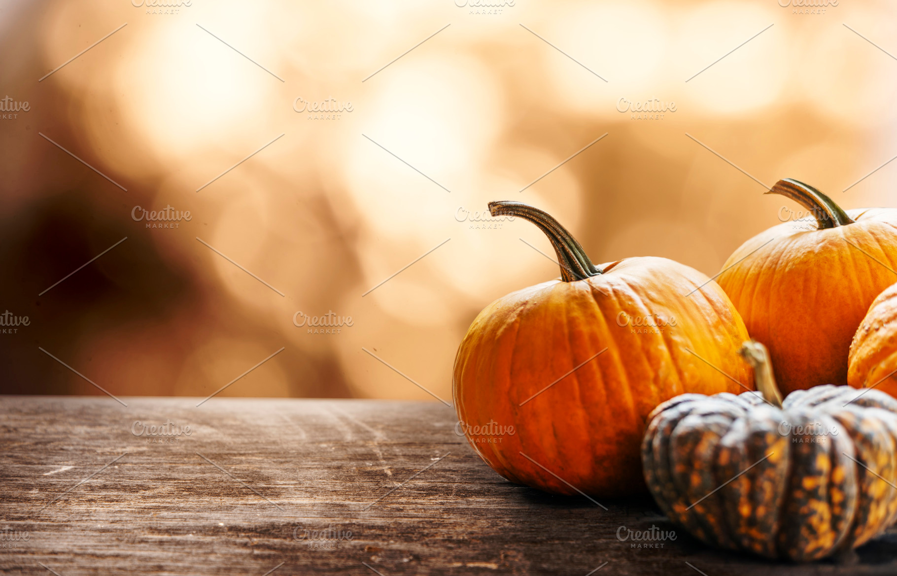 Autumn pumpkins still life table, a Holiday Photo by hitdelight