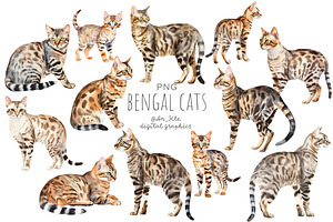 Bengal Cats Watercolour Clipart