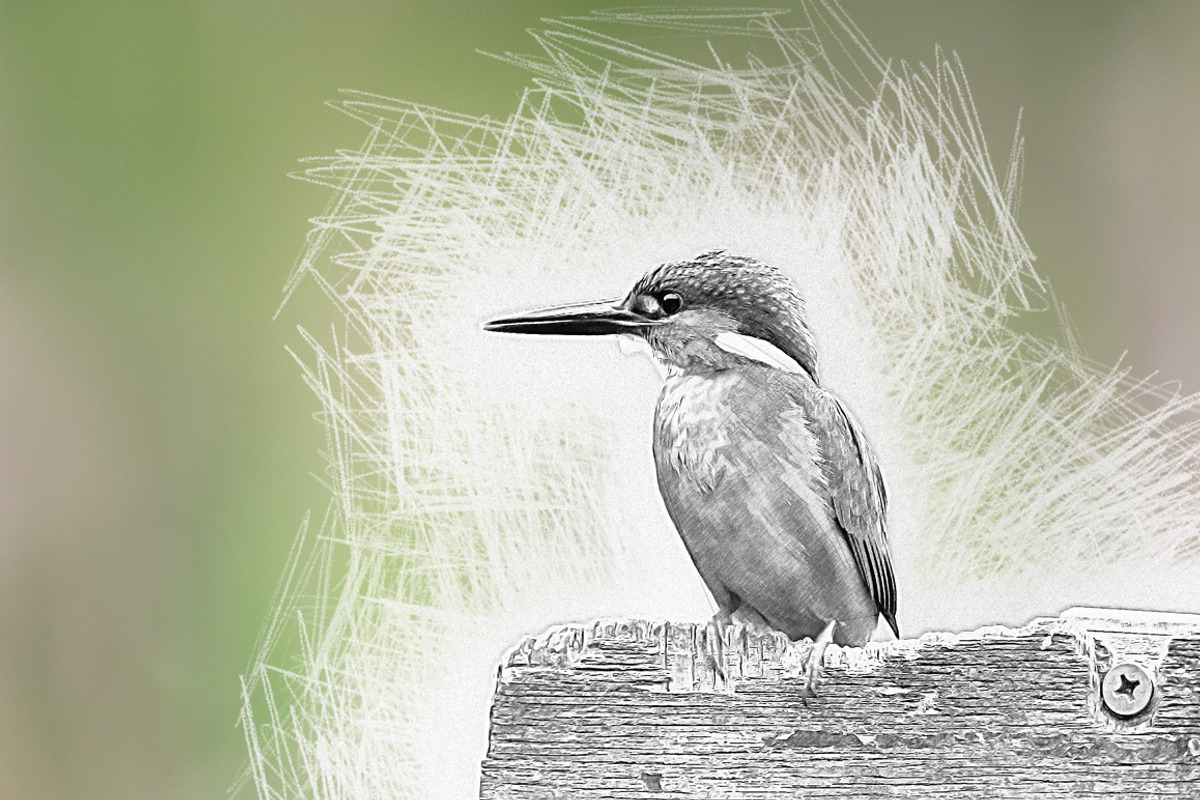 Drawing Photoshop Action, an Action Add-On by LUXDesignStudios (Photo 4 of 6)