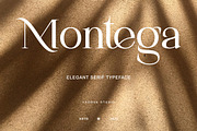 Montega Elegant Serif Typeface Font, a Serif Font by Vadovastd (Thumbnail 7 of 8)