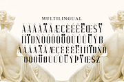 Velazquez Modern Serif Font, a Serif Font by Storytype Studio (Thumbnail 14 of 15)