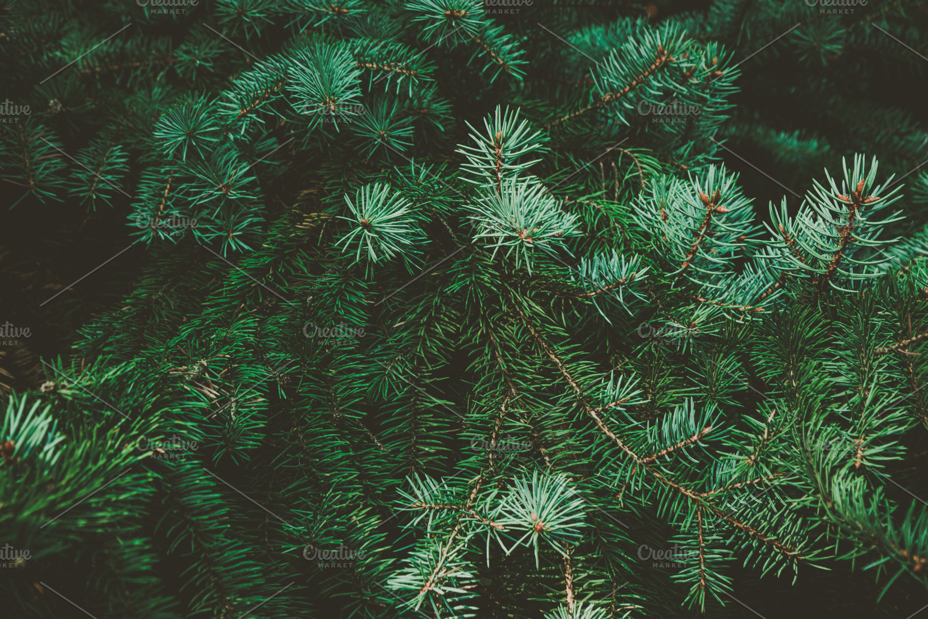 Christmas background., a Background Photo by Abstract Vanilla