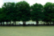 8 Blurred Landscape Images, a Texture Graphic by Mathew Sisson (Thumbnail 5 of 5)