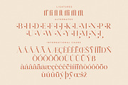 Harfine Modern Serif Font, a Serif Font by Letterena Studios (Thumbnail 14 of 15)