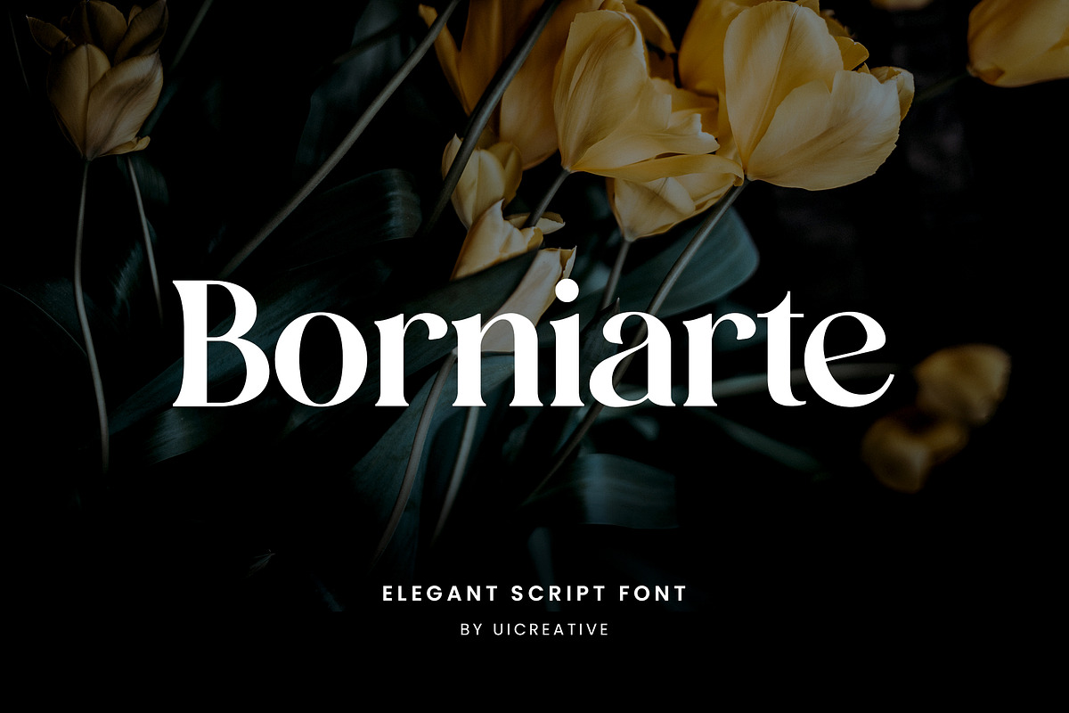 Borniarte Elegant Serif Font, a Serif Font by UICreative (Photo 1 of 13)