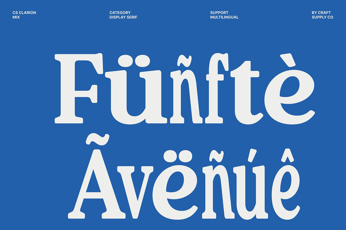 CS Clarion Mix, a Serif Font by Craft Supply Co. (Photo 7 of 8)