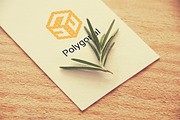 Hexagon Logo Premade, Big Bundle, a Branding & Logo Template by Artha Desain (Thumbnail 8 of 11)