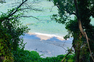 Serene view of a sandy beach and gentle waves framed by lush green foliage and, a Holiday Photo by Ales Munt