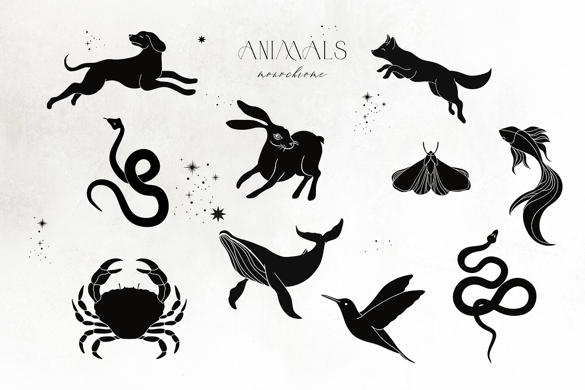 NOCTURNA Hidden Secrets Collection, a Decorative Illustration by Muse Artist (Photo 28 of 47)