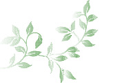 Dotted Botanical Leaf Branch, a Graphic by Design Store (Thumbnail 3 of 3)