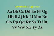 Vintage Modern Font, a Script Font by Graphue (Thumbnail 3 of 12)