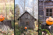 15 Rustic Autumn Stock Photos, a Holiday Photo by pictures for you (Thumbnail 2 of 14)