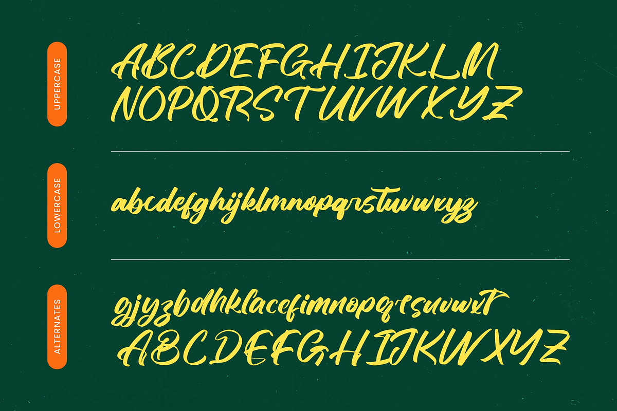 Hunting Gather Bold Handwritten Font, a Script Font by Letterena Studios Script (Photo 17 of 20)