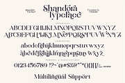 Shandora a Modern Serif Font, a Serif Font by Vilogsign (Thumbnail 14 of 15)