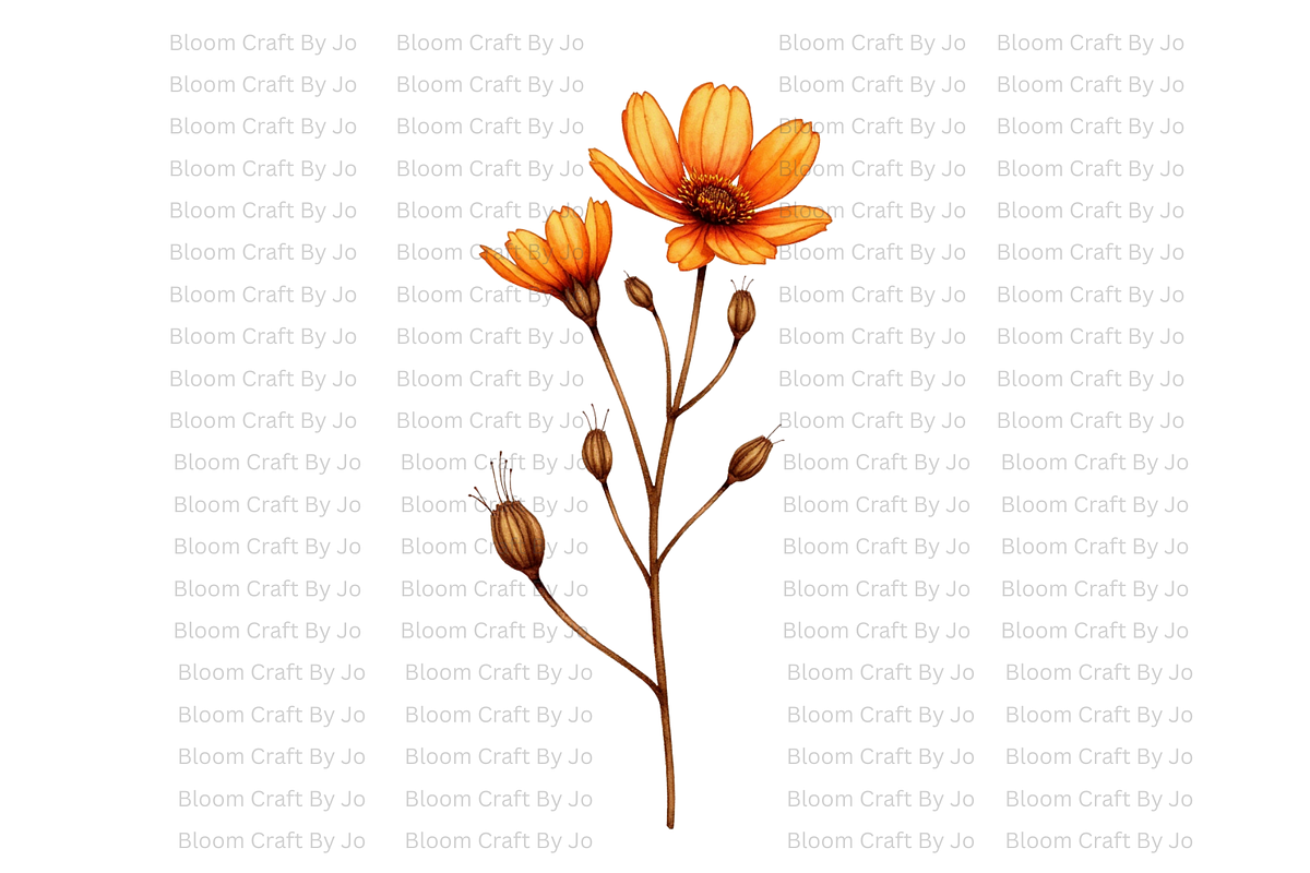Rust Colored Wildflowers, a Decorative Illustration by Bloom Craft Creations (Photo 10 of 10)