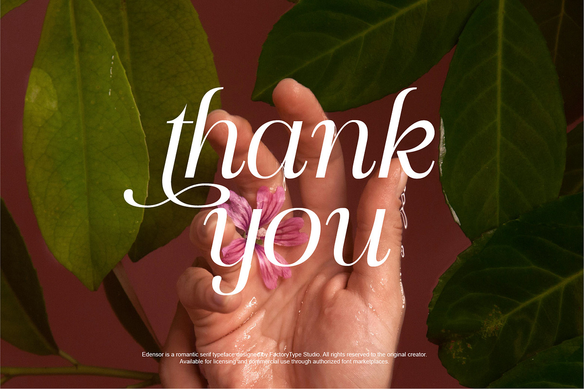 Edensor Pro – Romantic Luxury Serif, a Serif Font by FactoryType Studio (Photo 12 of 12)