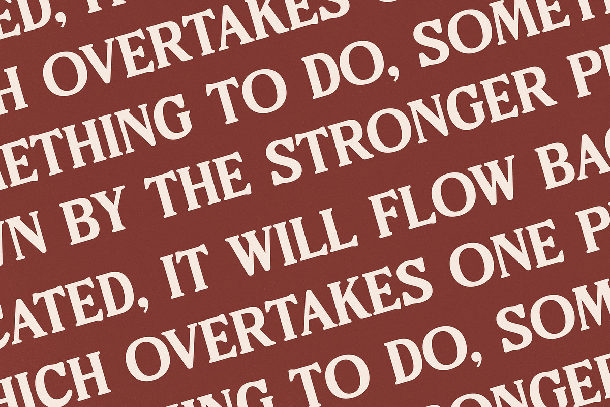 Bricks Antique Modern Vintage Serif, a Serif Font by Letterena Studios (Photo 8 of 15)