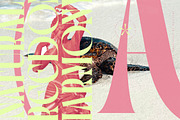 Goodness Sacred Modern Serif Font, a Serif Font by timelesstype.co (Thumbnail 7 of 20)
