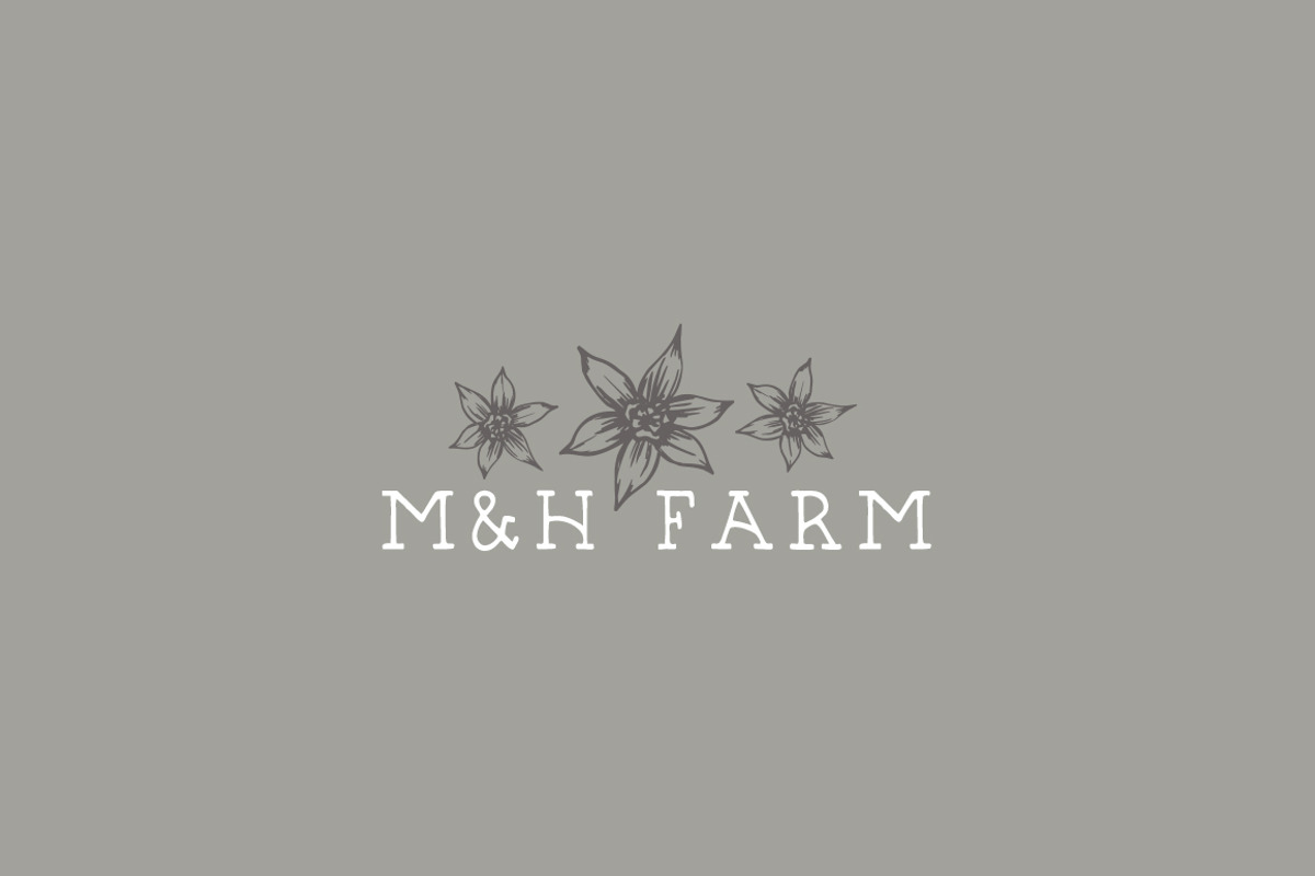 Hand-Illustrated Floral Vectors, an Illustration by Britt Fabello (Photo 3 of 4)