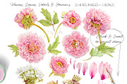 Pink Peonies-Clipart Set, an Illustration by watercolorwild.graphics (Thumbnail 2 of 9)