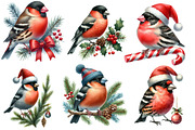 Christmas Grosbeak Birds Clipart, an Illustration by Designworld (Thumbnail 2 of 6)