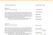 3 Page Resume Template | INDD + DOCX, a Resume Template by BlackDotResumes (Thumbnail 5 of 5)