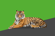 Wild animals in low poly style, an Animal Illustration by Volkan Aydemir (Thumbnail 11 of 12)
