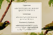 Porchlight classic serif font, a Serif Font by Ana's Fonts (Thumbnail 2 of 8)