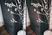 Mobile Lighroom - Darby, an Action Add-On by The Red Pine (Thumbnail 8 of 10)