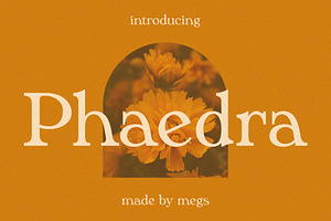 Phaedra // A Retro Serif Typeface