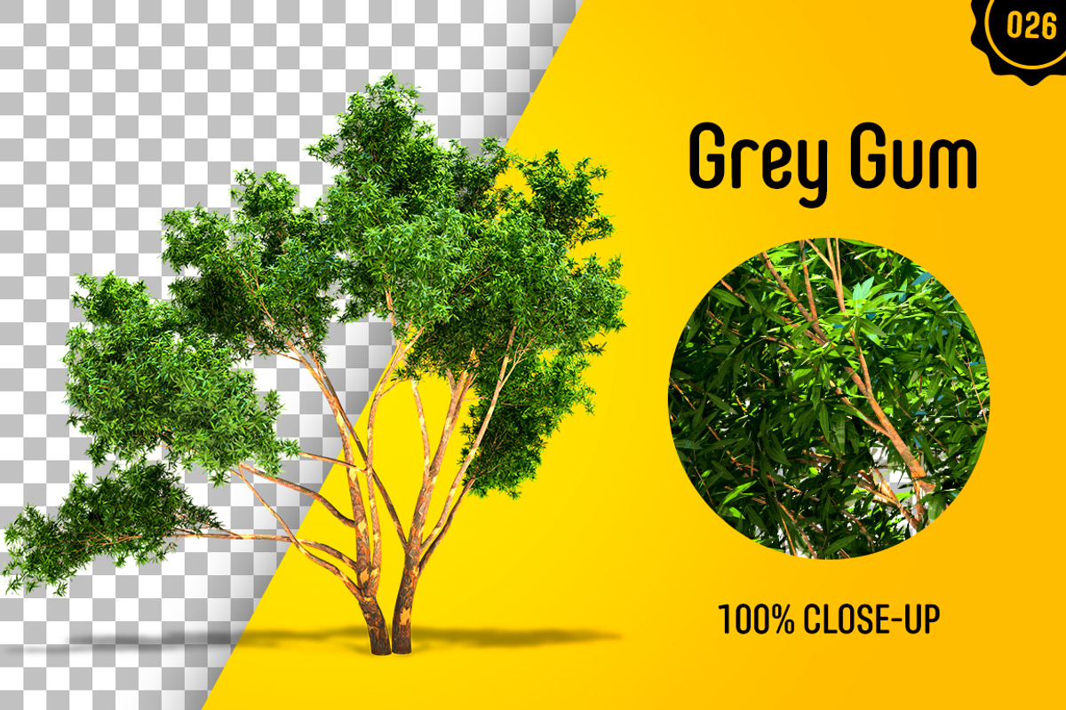 CUT OUT TREES - 60 PCS BUNDLE, a Packaging Mockup by 3DSTORE (Photo 27 of 63)