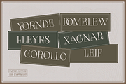 Hazchel, a Serif Font by Amera Type (Thumbnail 7 of 11)