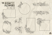 Botany Line Art Collection, a Decorative Illustration by Skliarova (Thumbnail 6 of 10)