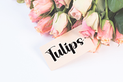 Happy Graduation | Script Font, a Handwritten Font by Scratchones (Thumbnail 3 of 8)