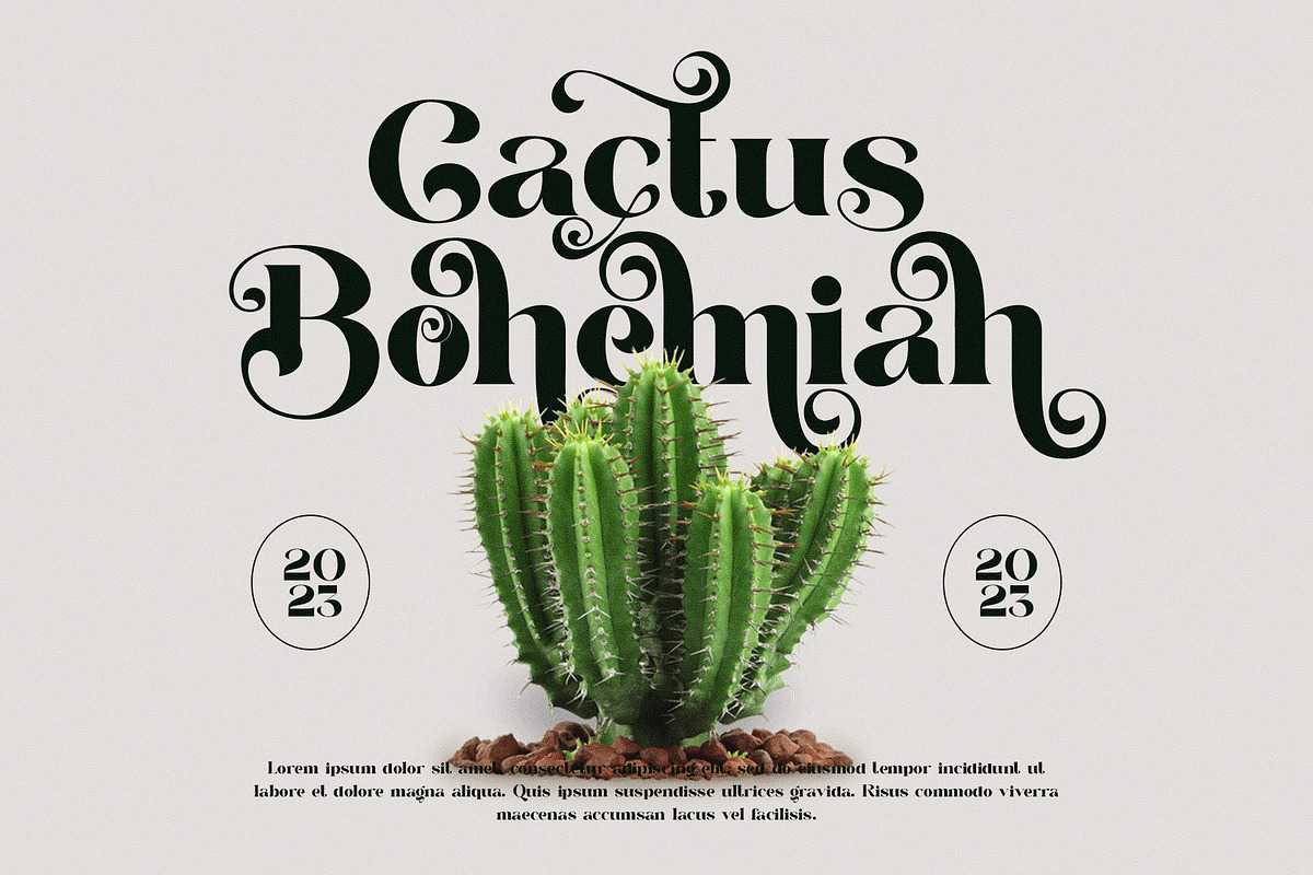 Fenita Elgone Elegant Serif Font, a Serif Font by Perfectype (Photo 5 of 8)