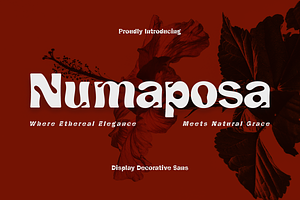 CF Numaposa - Playful Display Sans, a Sans Serif Font by Indotype Foundry