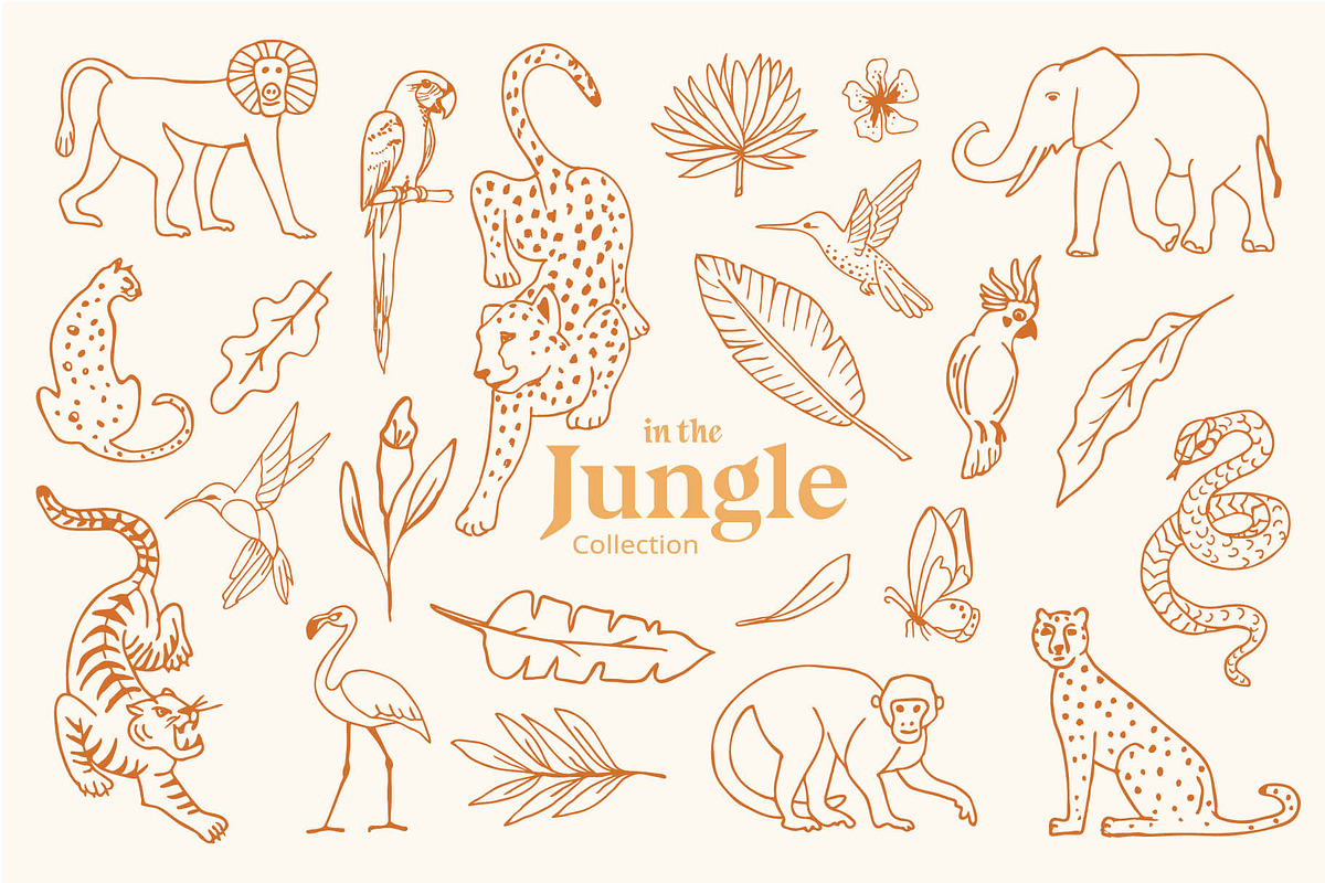 Jungle Animals Vector & Pattern Set, an Animal Illustration by Annakaroline (Photo 3 of 10)