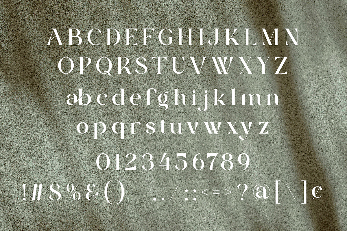 Ranima - Modern Ligature Typface, a Serif Font by AnnofaType (Photo 6 of 8)