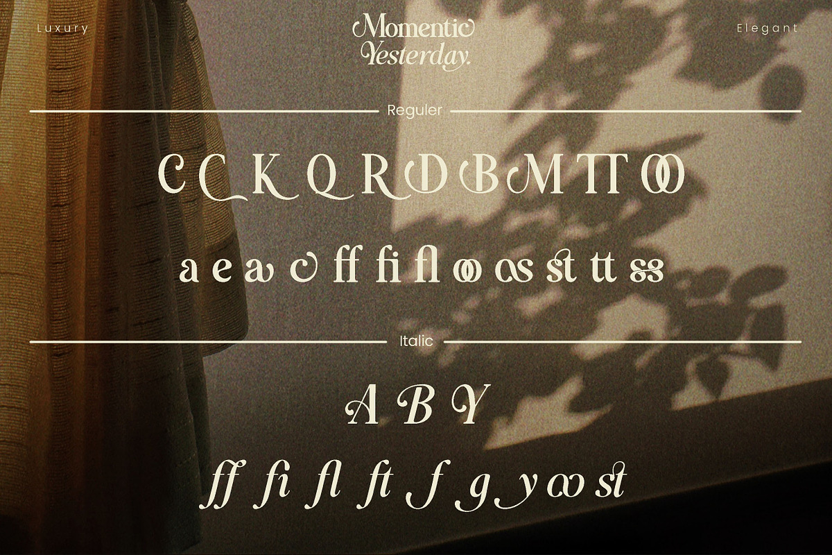 Momentic Yesterday, a Serif Font by Flawless And Co (Photo 5 of 6)