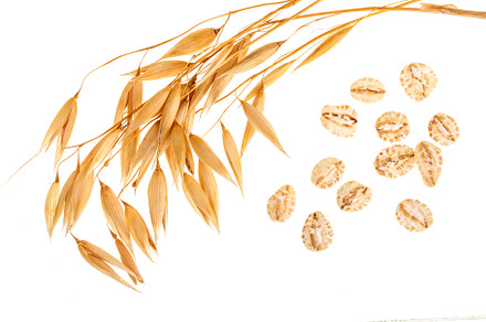 Oat spike with oat flakes isolated on white background top view stock photo, a Food & Drink Photo by NataPhoto