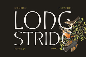 Longstride