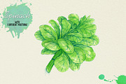 North American Herbs, a Food Illustration by Graphobia (Thumbnail 17 of 21)