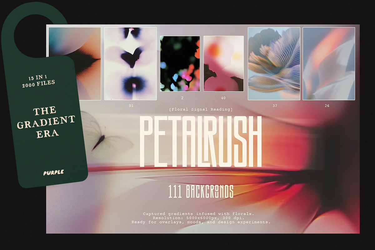 15 in 1: THE GRADIENT ERA, a Background Graphic by Purple (Photo 5 of 16)