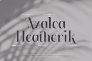 Stetling - Elegant Modern Serif Font, a Serif Font by Zeatype (Thumbnail 8 of 11)