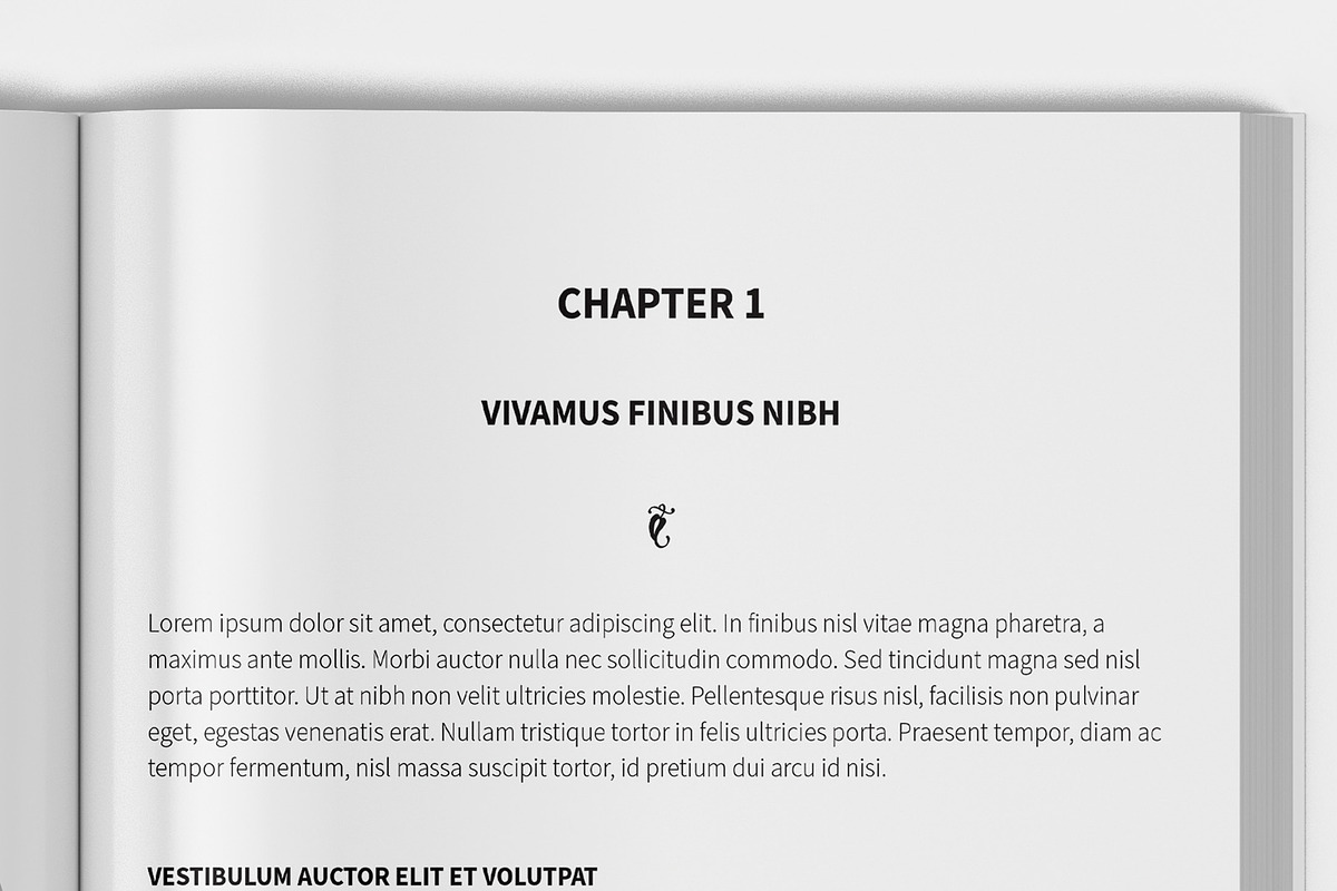 Softcover Book Mockup - A4, a Books & Magazine Mockup by Illusiongraphic (Photo 14 of 22)
