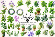 Watercolor Herbs Clipart, an Object Illustration by Digital Artistic99 (Thumbnail 1 of 11)